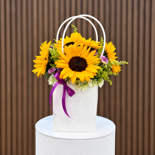 Arreglo de girasoles en bolso blanco con lazo morado, vista frontal. Velve Floristería, Paseo de las Flores, Heredia.