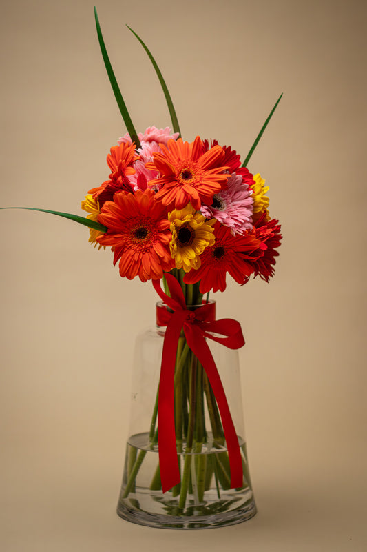 Ramo de gerberas anaranjadas, rojas, rosadas y amarillas con hojas verdes alargadas en jarrón de vidrio transparente, decorado con lazo rojo sobre fondo beige. Velve Floristería, Paseo de las Flores, Heredia.