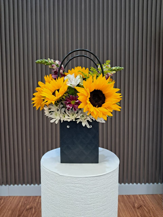 Luz de Girasoles