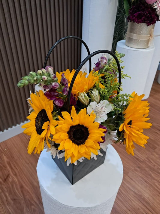 Luz de Girasoles