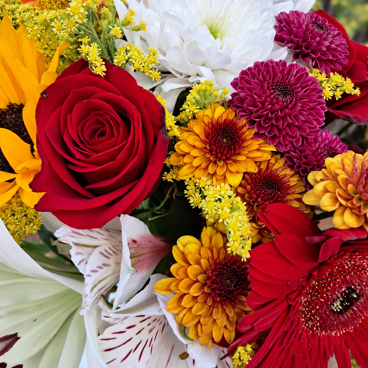 Acercamiento de rosa roja, crisantemos morados y naranjas y flores blancas. Velve Floristería, Paseo de las Flores, Heredia.