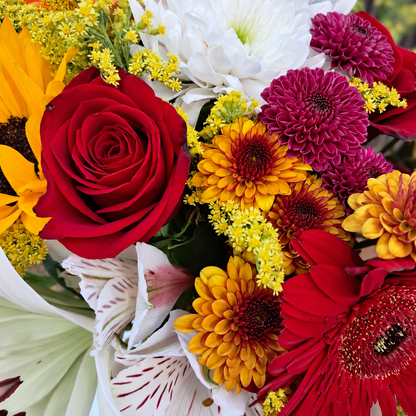 Acercamiento de rosa roja, crisantemos morados y naranjas y flores blancas. Velve Floristería, Paseo de las Flores, Heredia.