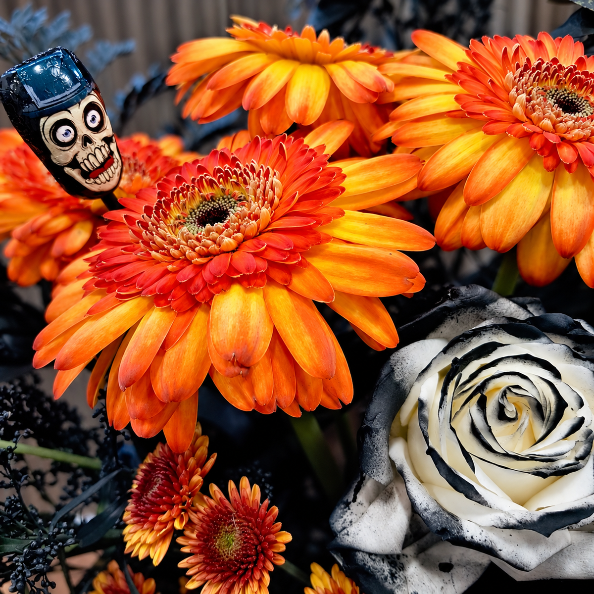 Detalle de gerberas naranjas, rosa blanca teñida de negro y chocolate de Halloween. Velve Floristería, Paseo de las Flores, Heredia.