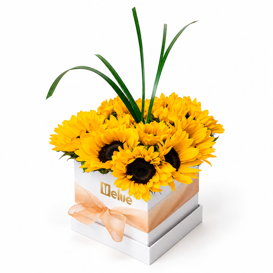 girasoles amarillos y hojas verdes en caja de madera blanca con lazo champan vista lateral velve floristeria heredia