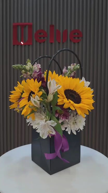 Luz de Girasoles