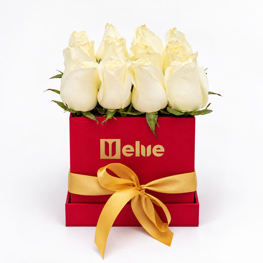 Rosas blancas en caja roja con lazo dorado, vista frontal. Velve Floristería, Paseo de las Flores, Heredia.