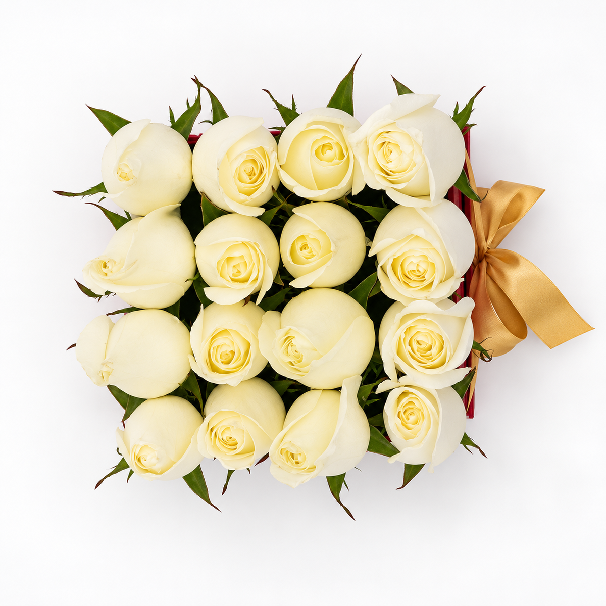 Vista superior de dieciséis rosas blancas en caja roja con lazo dorado. Velve Floristería, Paseo de las Flores, Heredia.